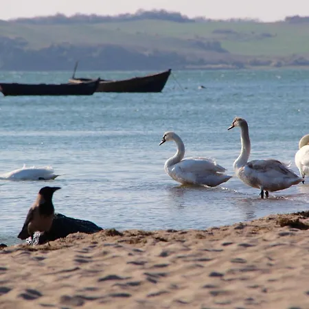 Apartament Windfluechter 2 Thiessow