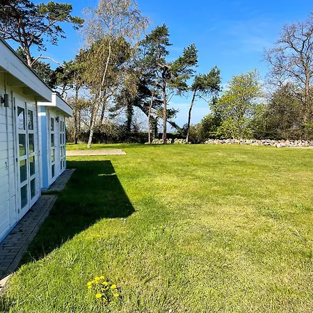 Windfluechter 2 * Thiessow