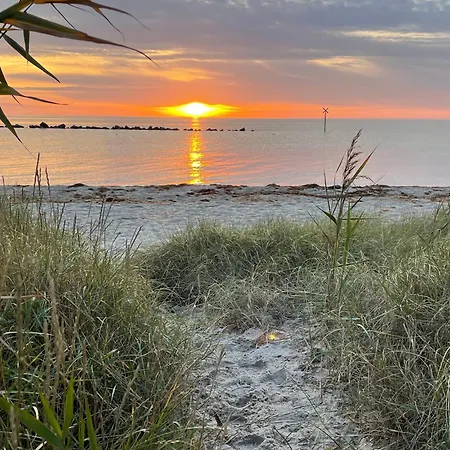 Windfluechter 2 * Thiessow