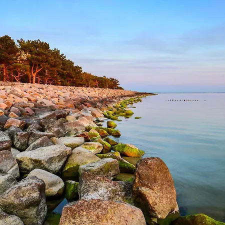 Windfluechter 2 Thiessow